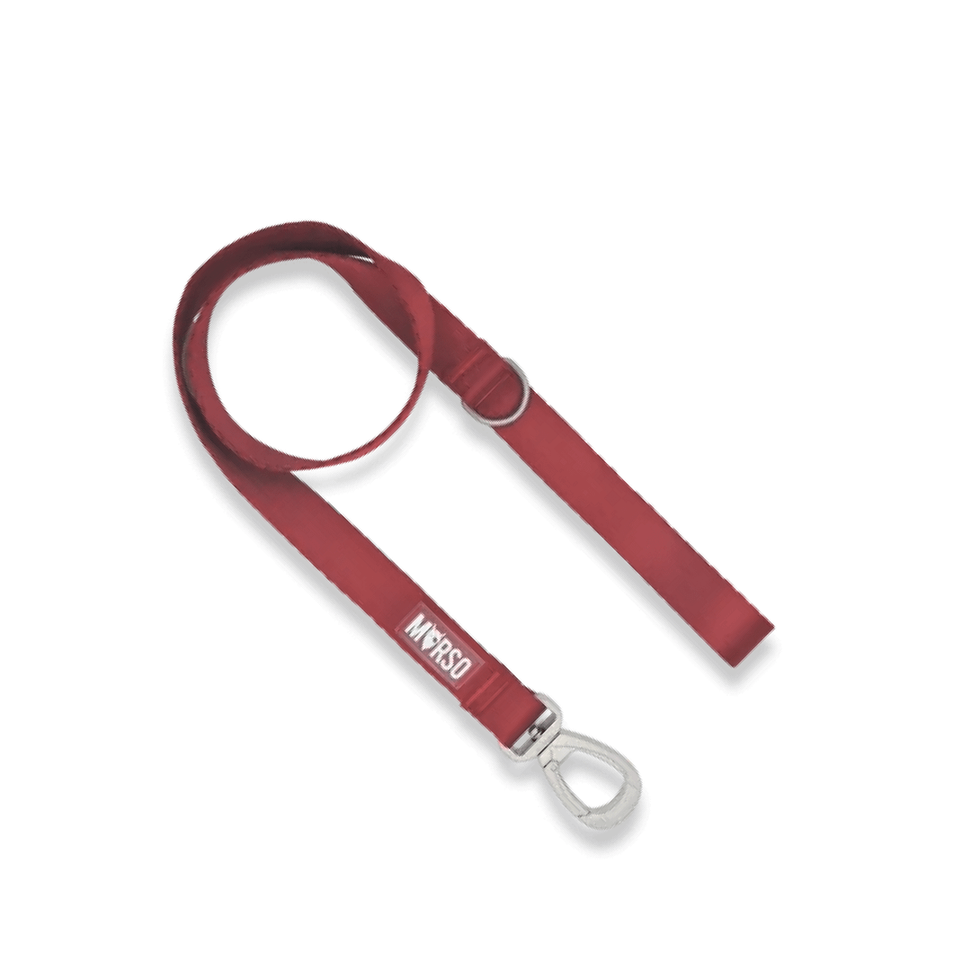 Morso Guinzaglio Ruby - S