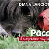 Paco, il simpatico ragazzo