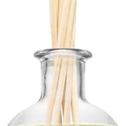 The Olphactory Flawless Sour Maple diffusore di aromi 250 ml