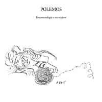 Polemos. Fenomenologie e narrazioni