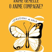 Anime Gemelle o Anime Compagne? Istruzioni di volo per cercatori d’amore