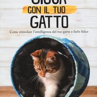 Gioca con il tuo gatto. Come stimolare l’intelligenza del tuo gatto e farlo felice
