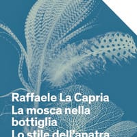 La mosca nella bottiglia-Lo stile dell’anatra