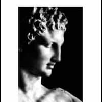 Odissea. Testo greco a fronte