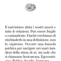 Arcipelago N. Variazioni sul narcisismo