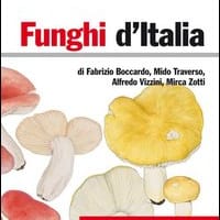 Funghi d’Italia