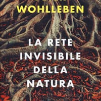 La rete invisibile della natura