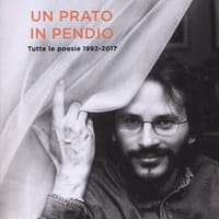 Un prato in pendio. Tutte le poesie 1992-2017