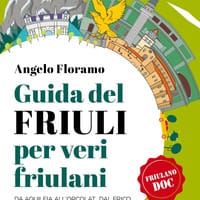 Guida del Friuli per veri friulani. Da Aquileia all’Orcolat, dal frico al miele: sapori, luoghi e storie da scoprire nella magica terra friulana 