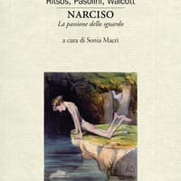 Narciso. La passione dello sguardo. Variazioni sul mito
