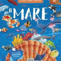 Il mare. Cosa, come, perché