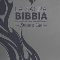 Bibbia R2. Spirito e vita. Ediz. similpelle grigio