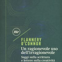 Un ragionevole uso dell’irragionevole. Saggi sulla scrittura e lettere sulla creatività