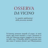 Osserva da vicino. Le quattro applicazioni della presenza mentale