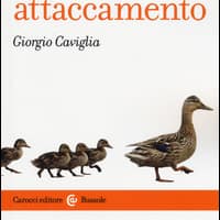 Teoria dell’attaccamento. Storia, strumenti, psicopatologia