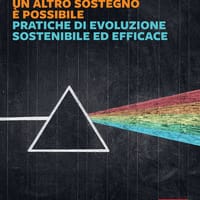 Un altro sostegno è possibile. Pratiche di evoluzione sostenibile ed efficace