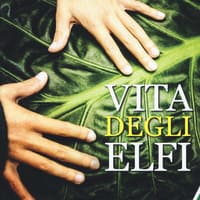 Vita degli elfi