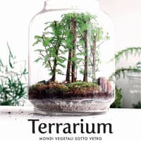 Terrarium. Mondi vegetali sotto vetro
