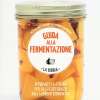 Guida alla fermentazione