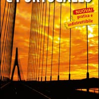 Spagna-Portogallo 1:1.100.000