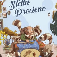 Stella procione