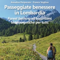 Passeggiate benessere in Lombardia. Forest bathing ed escursioni bioenergetiche per tutti