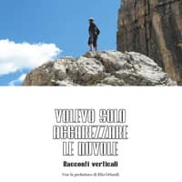 Volevo solo accarezzare le nuvole. Racconti verticali