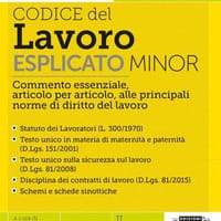 Codice del Lavoro esplicato. Commento essenziale, articolo per articolo, alle principali norme di diritto del lavoro. Minor