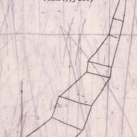 La città lontana. Poesie 1993-2009