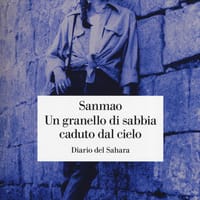 Un granello di sabbia caduto dal cielo. Diario del Sahara