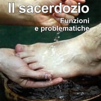Il sacerdozio. Funzioni e problematiche