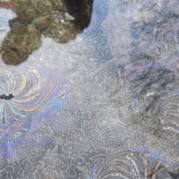 Bright Ecologies. Caretto/Spagna: experiences, forms, materials. Ediz. italiana e inglese