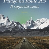 Patagonia route 203. Il segno del vento