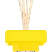 ipuro Essentials Lively Rome diffusore di aromi 100 ml