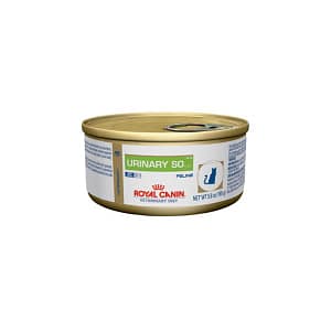Royal Canin Gatto Urinary Diet Umido