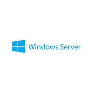 Microsoft windows server 2019 client access license (5 device)