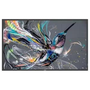 Philips 65bdl3511q-00 display 65“ q-line 18-7 4k ultra hd basic failover usb auto play smart player lan