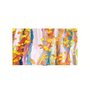 55wn960h 55in oled 3840×2160 16:9 500nit 1ms hdr10 pro hlg sp