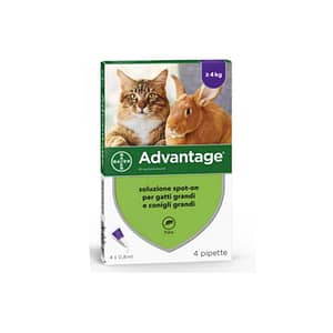 Elanco Advantage Spot-On per Gatti, Conigli e Furetti Taglia Inferiore a 4kg