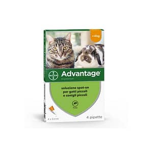 Elanco Advantage Spot-On per Gatti, Conigli e Furetti Taglia Superiore a 4kg