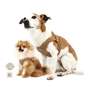 Pupakiotti Pettorina Contemporary in Pelle Marrone Taglia 3XL – 4XL