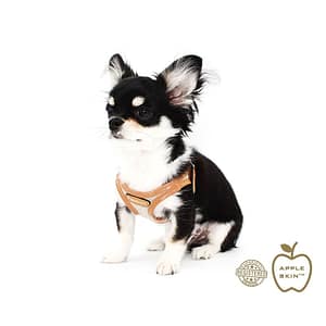 Pupakiotti Pettorina Vegan in Pelle Mela Taglia 3XL – 4XL