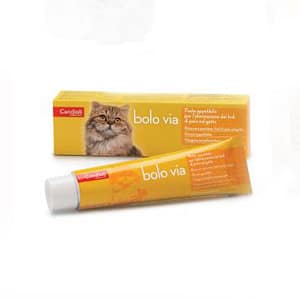 Candioli Bolo Via Pasta per Gatto