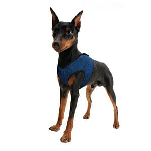 ACK Pettorina Refrigerante Blu per Cani