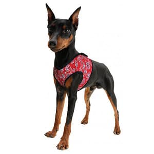 ACK Pettorina Refrigerante Rossa per Cani