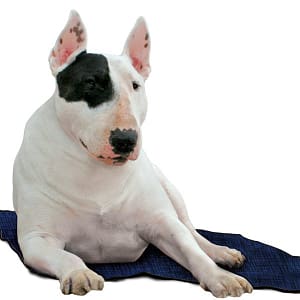 Tappetino Refrigerante Blu per Cani