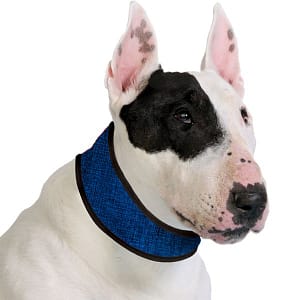 ACK Collare Refrigerante Blu per Cani