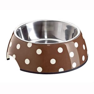 Hunter Ciotola a Pois