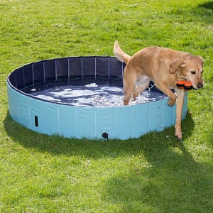 Trixie Piscina per Cani