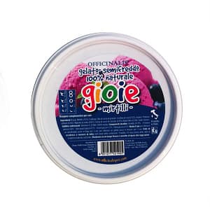 Gioie Gelato al Mirtillo Bio